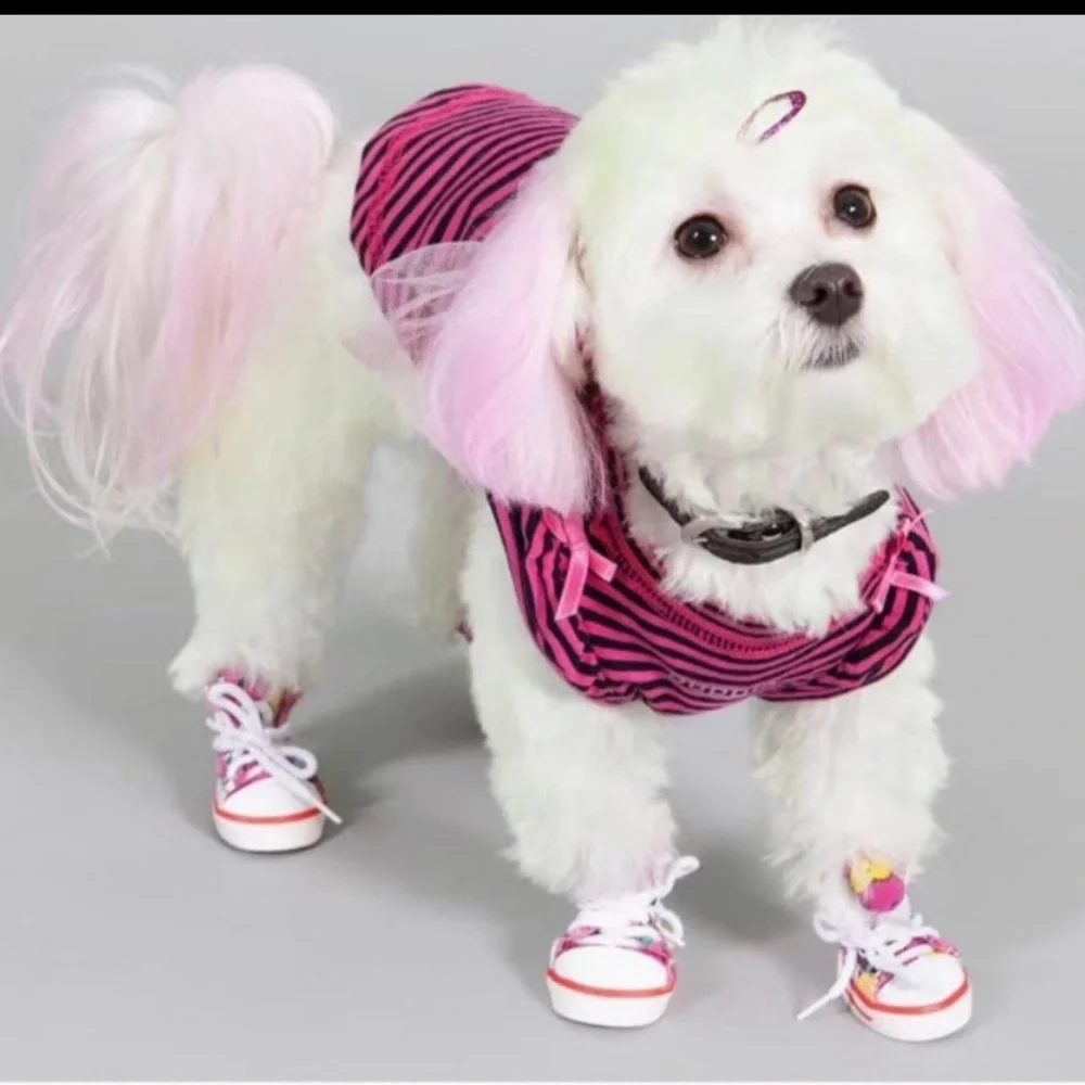 Dog hair dye temporary - 12 colors